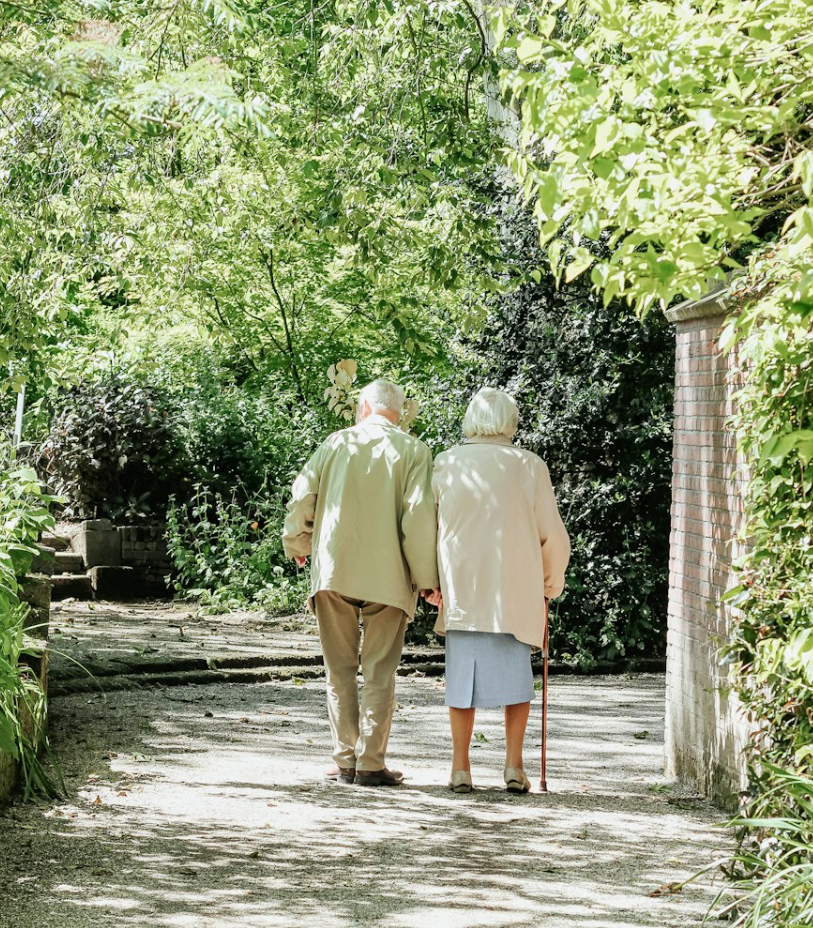 地域在住高齢者支援・生涯教育のイメージ